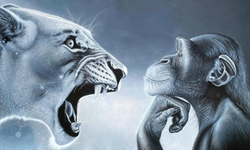 Sosyal medyanın yeni tuzağı: “Rage Bait” nedir?