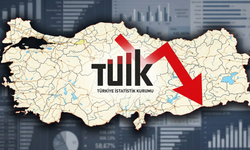 TÜİK açıkladı: Piyasada yaprak kımıldamıyor