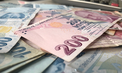 Vatandaşlık maaşı nedir? Kimler faydalanabilir