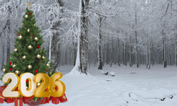 Yılbaşında kar yağacak mı? Meteoroloji eski Bölge Müdürü açıkladı!