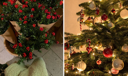 Yılbaşında neden Kokina alıyoruz?