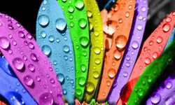 Renklerin Anlamları: Hangi Renk Ne İfade Eder?