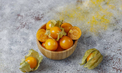 CRISPR mucizesi: Altın çilek artık evde yetişebilecek kadar küçük ve daha besleyici