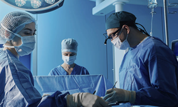 Tıp tarihinde bir ilk: Akciğersiz 48 saat hayatta kaldı!