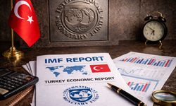 IMF'den Türkiye için ilk: İki başlık incelendi