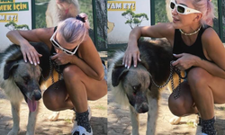 Hande Yener’in sahiplendiği Ateş için adalet arayışı sürüyor