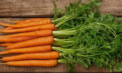 Havuç tüketmenin bilinmeyen faydaları