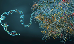 Bilim insanları hücreleri fabrika ayarlarına döndürmeyi başardı