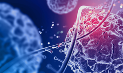 Kanser riskini azaltan genetik varyant keşfedildi