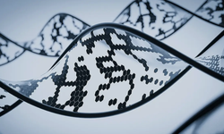 Biyoteknoloji devrimi: Yaşam süresi uzatılabilir