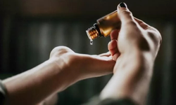 Karınca yumurtası yağı hakkında bilinmesi gerekenler