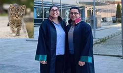 Hastanın üzerine kedi düşen hastane 50 bin lira ödeyecek