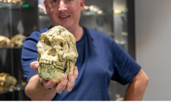 İnsanlık tarihi sil baştan: 3.6 milyon yıllık Little Foot yeni bir tür çıktı