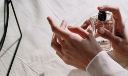 EDT, EDP ve EDC arasındaki temel performans farkları nedir?