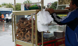 Seyyar satıcı ve ilaçlama firmalarına sıkı denetim