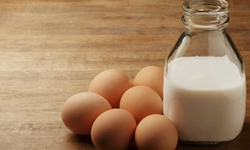 Süt ve yumurtada üretim düştü: Son ayların en sert düşüşü