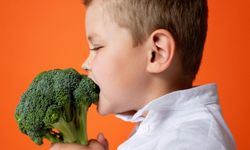 Vejetaryen ve vegan beslenme çocukların gelişimini etkiler mi?