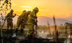 Avustralya orman yangınlarının pençesinde