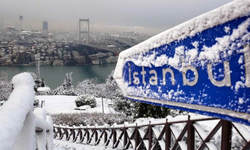 Yeni yıl karla başladı! 63 il beyaza büründü, 31 ile sarı kodlu alarm verildi