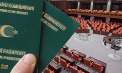 İki meslek grubuna yeşil pasaport geliyor