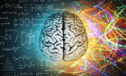 Tek bakış yetiyor: Beynin anlık öğrenme sistemi çözüldü