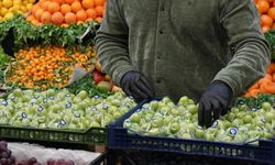 Süleymaniye’de Türk eriğinin kilogramı 500 dolara çıktı