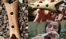 Mağaralardan yükselen en eski ses: Dünyanın ilk müzik aleti nedir?