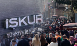 İŞKUR açıkladı: En fazla ilan açan meslekler hangisi oldu?