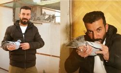 Adana’da kayıp güvercin için 75 bin TL ödül