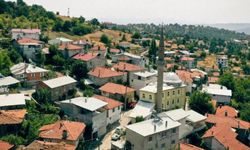 Türkiye’de 3 köyde nüfus sadece 1 kişi