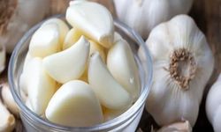 Sarımsak: Doğal antibiyotik mi, abartılan bir efsane mi?
