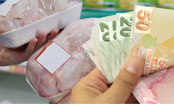 Tavuk ihracatında Bakanlık'tan yeni hamle