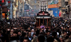 TÜİK açıkladı: 5,5 milyondan fazla kişi yalnız yaşıyor