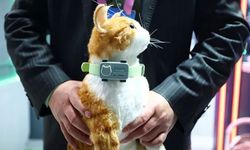 PetPhone tanıtıldı: Evcil hayvanlar sahiplerini arayabilecek