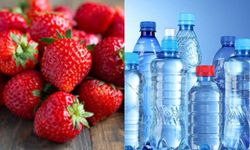 Dr. Sethi uyardı: Günlük tükettiğimiz bu 8 besin sağlığı tehdit ediyor