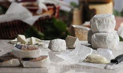 Tarım ve Orman Bakanlığı açıkladı: Ünlü süt markası ifşa oldu