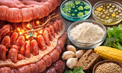 Probiyotik ve lifler, çölyak hastaları için bağırsak sağlığını artıyor