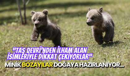 Mersin'in Yeni Yıldızları: Bozayı Kardeşlerin Kurtuluş Hikâyesi!
