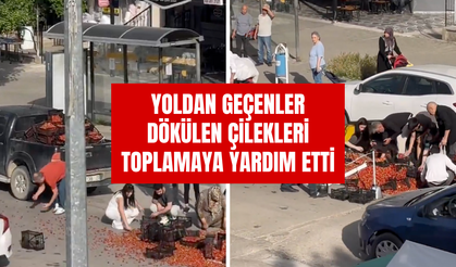 Çilek Dolu Araç Kaza Yaptı: Yoldan Geçenler Dökülenleri Toplamaya Yardım Etti!