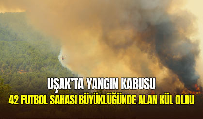 Uşak’ta orman yangını felaketi: 42 futbol sahası büyüklüğündeki alan kül oldu