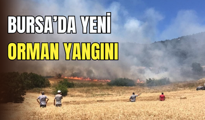 Bursa’da yeni orman yangını: Yenişehir’de alevler yükseldi