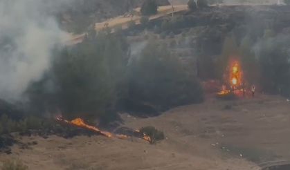 Elazığ'daki kırsal alan yangını kamerada!