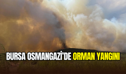 Bursa Osmangazi’de orman yangını