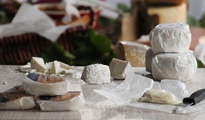 Tarım ve Orman Bakanlığı açıkladı: Ünlü süt markası ifşa oldu