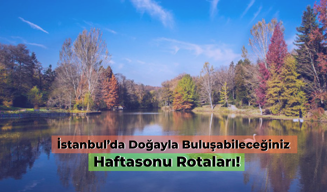 İstanbul'da Doğayla Buluşabileceğiniz Hafta Sonu Rotaları