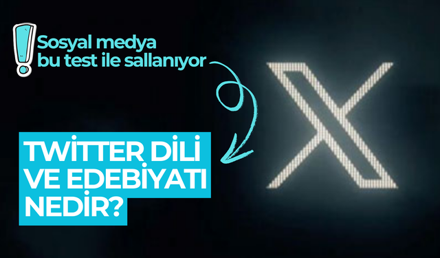 Twitter'ı sallayan test: Twitter dili ve edebiyatı