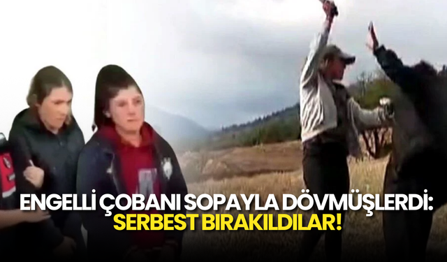 Engelli Çobanı Darp Eden Kardeşlerle İlgili Karar Çıktı