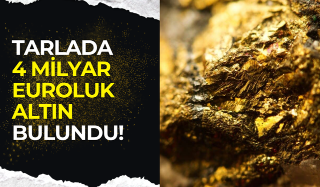 Fransa’da çiftçiye büyük sürpriz: Tarlasında 4 milyar euroluk altın bulundu