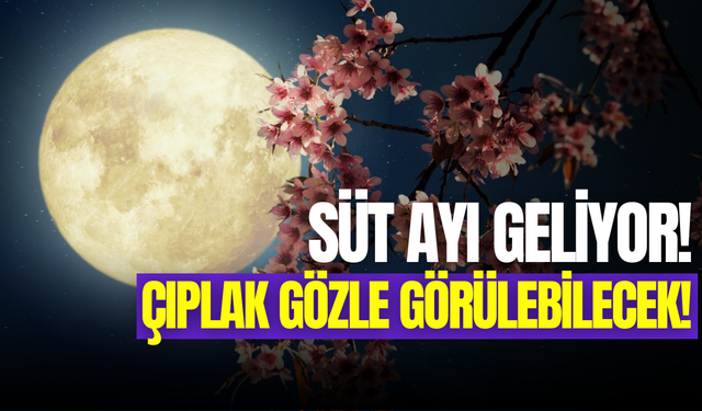 Süt dolunayı nedir, ne zaman? 12 Mayıs’ta geliyor!