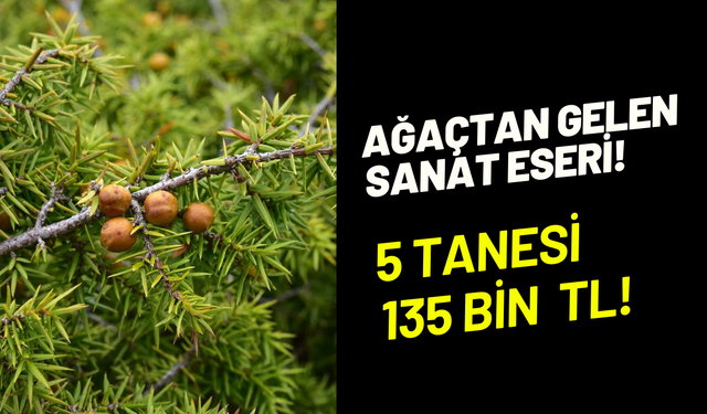 Günlük 5 tane üretip 135 bin TL kazanıyor: Osmaniye’nin coğrafi işareti andız tespihi
